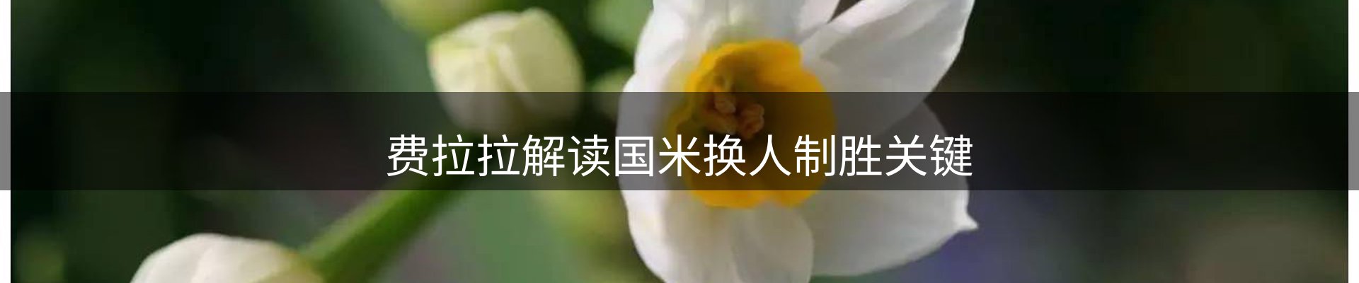 平台资讯